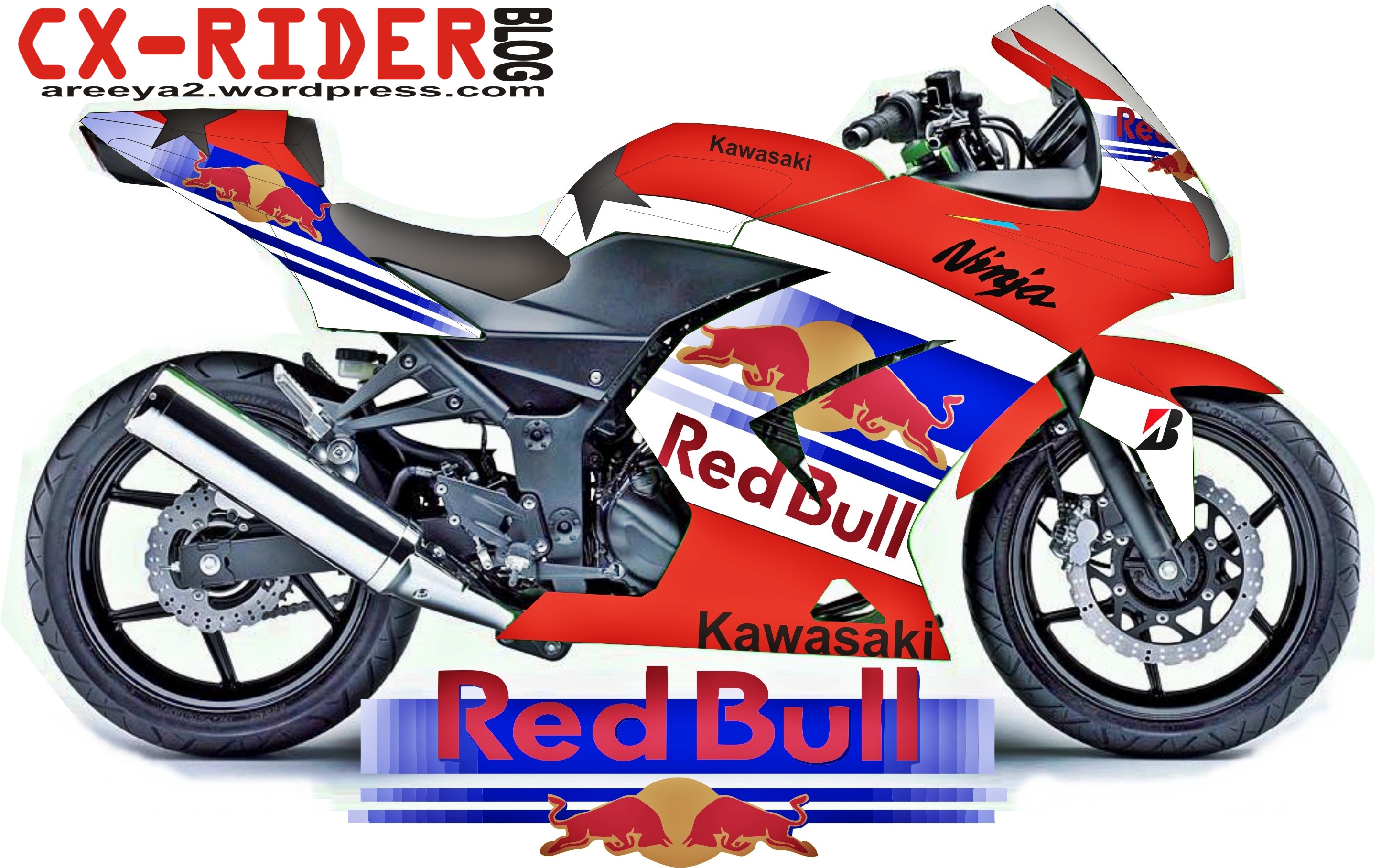 Ninja 250 Red Bull Livery Cxridercom