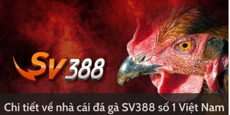 Giới thiệu chung về  địa chỉ giải trí SV388