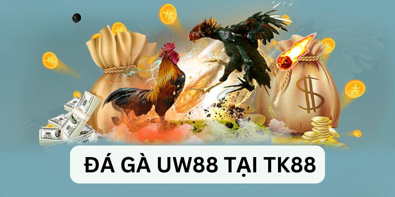 Trải nghiệm UW88 với nhiều điều thú vị