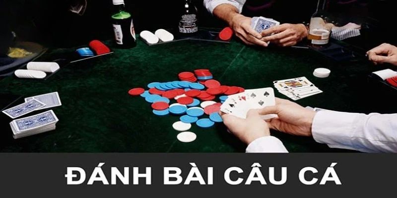 Cách Chơi Bài Câu Cá TK88 – Hướng Dẫn Chi Tiết Từ A-Z Cách Chơi Bài Câu Cá TK88 – Hướng Dẫn Chi Tiết Từ A-Z