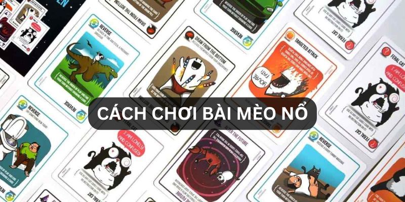 Cách Chơi Bài Mèo Nổ TK88 Đơn Giản Dành Cho Các Newbie